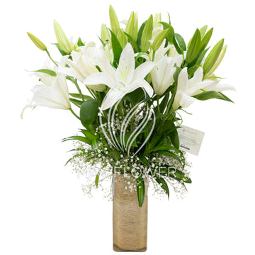 Lily Spectacle